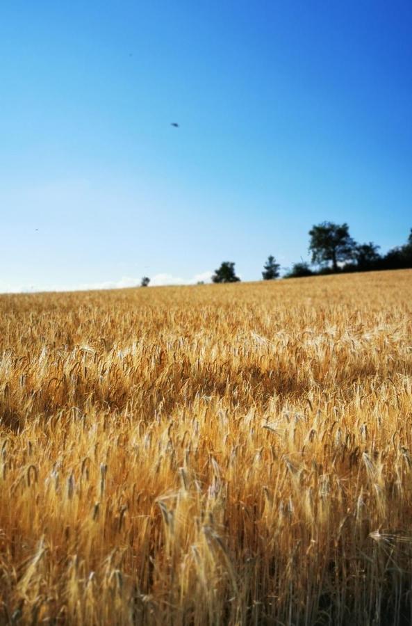 Evasion Nature Et Convivialite Sourcieux-les-Mines Exteriör bild