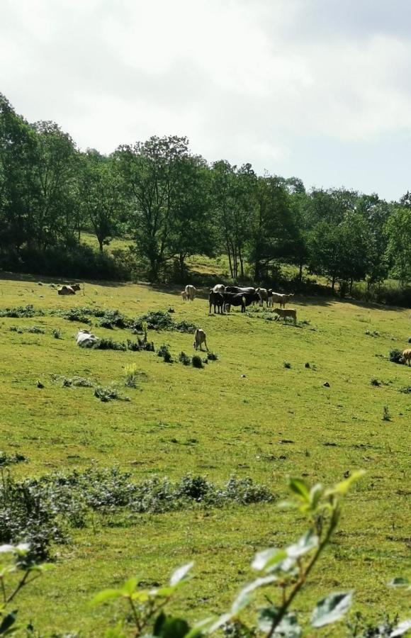Evasion Nature Et Convivialite Sourcieux-les-Mines Exteriör bild